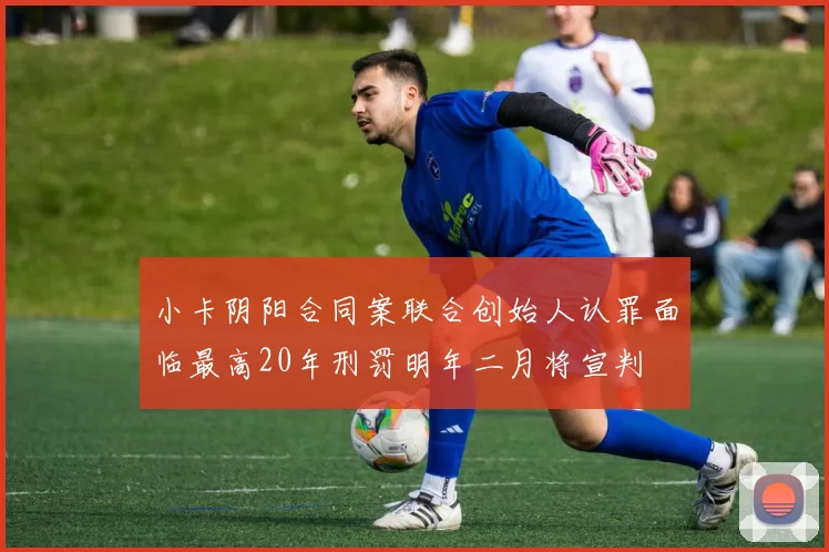 小卡阴阳合同案联合创始人认罪面临最高20年刑罚明年二月将宣判